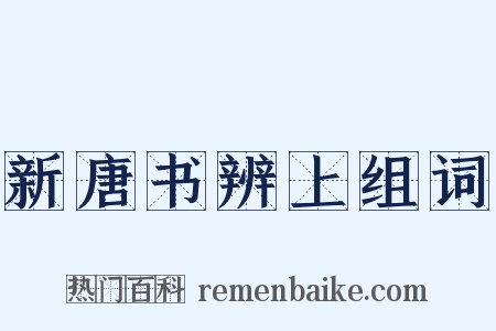 新唐书辨上组词是什么意思的图片